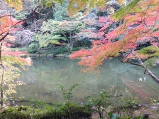 _成田山紅葉_ (4)