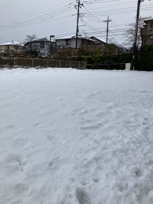 雪！【TOPインドアステージ多摩ブログ】